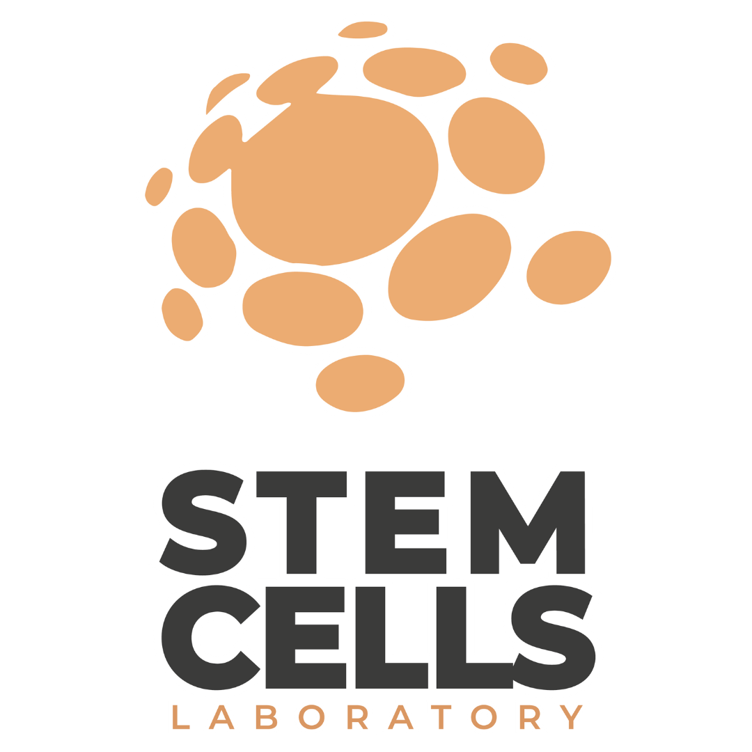 stemcellsinnovalab